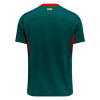 Senegal Away Jersey 2026 World Cup (Fan)