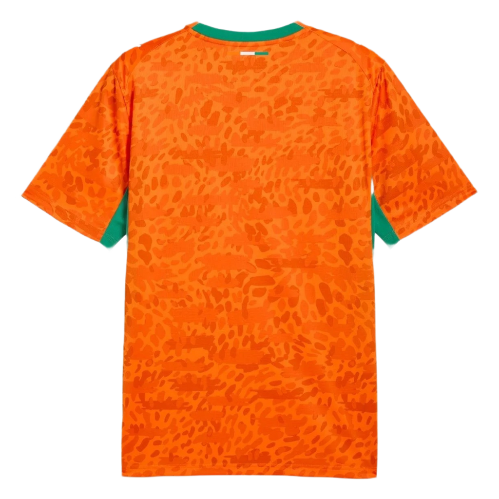Cote d'Ivoire Home Jersey 2026 World Cup (Player)