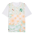 Camiseta de visitante de Costa de Marfil para la Copa Mundial 2026 (versión jugador)