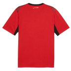 Egypt Home Jersey 2026 World Cup (Player)