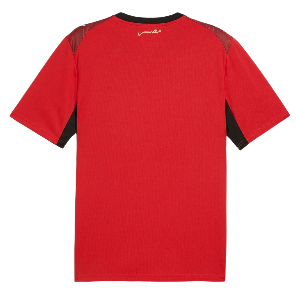 Egypt Home Jersey 2026 World Cup (Player)