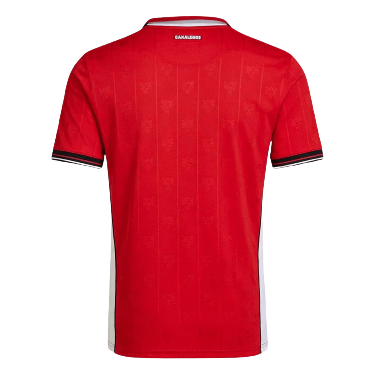 Panama Home Jersey 2026 World Cup (Fan)
